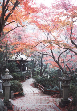 abiotic:  Burning leaves at Mitaki Temple 