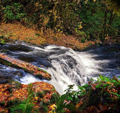 Water and fall leaves . . . . . . #fallcolors #fall #autumn #fallvibes #autumnvibes #nature #autumnc