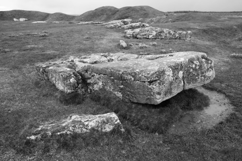 Arbor Low Prehistoric Henge, Derbyshire, 30.4.16. The henge is notable for its size and defined shap