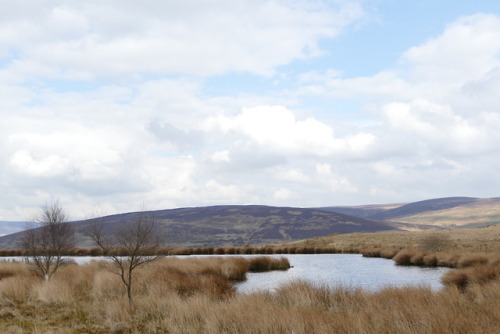 Views from Nicky Nook in the Forest of Bowland, North Lancashire