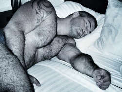 realmenstink:  daddyma:  Sleeping beauty  HAIRY HUNK OF BEEF !!!