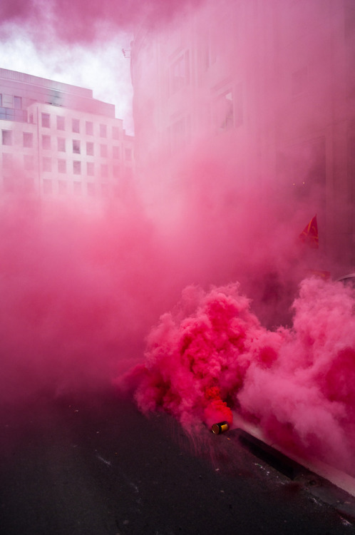 Maïka De Keyzer (Belgian, based Antwerp, Belgium) - Pink Explosion, 2013  Photography