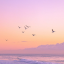 heavenisaplaceonearth777