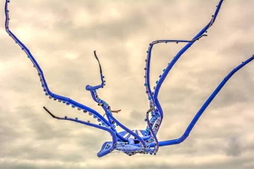 emporioefikz: Giant Octopus Kite, Châtelaillon-Plage, France A post shared by Emporio 