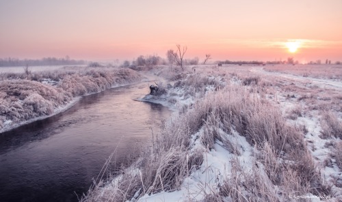 expressions-of-nature:by Katarzyna Gritzmann