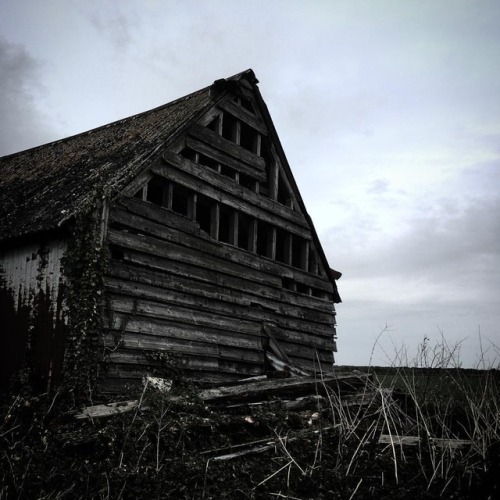 In the flat field #monochrome #blackandwhite #bw #gloomy #rural #field #gloomyskies @itsabandoned