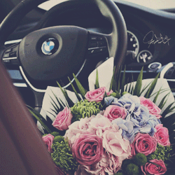 Mirymah ♥