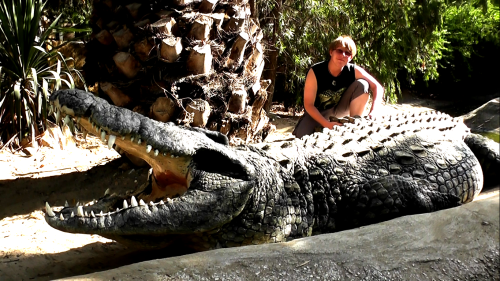 noinnocenthands: sarcosuchas: Big Daddy - The Biggest Crocodile In Europe Some different pictures of