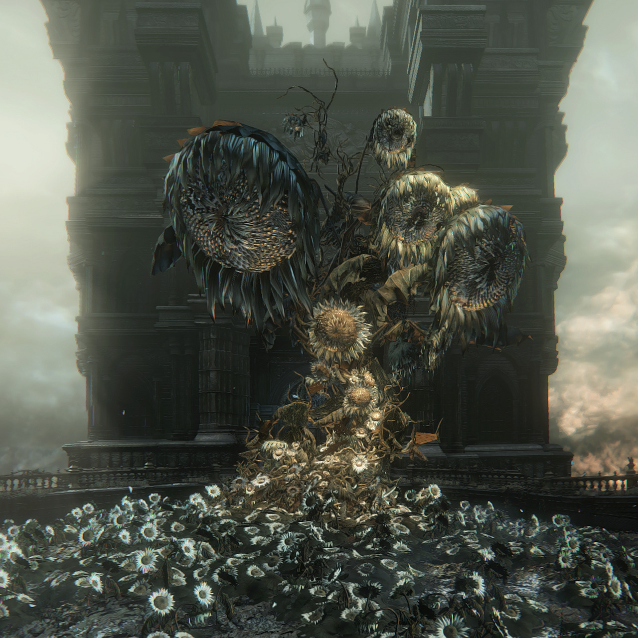 The Taste Of The Divine