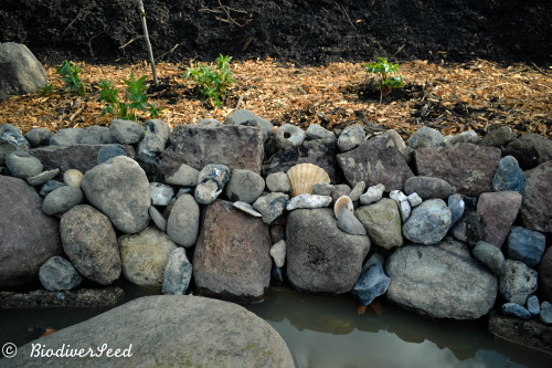 biodiverseed:Stormwater Pond and Mallard HouseDenmark // Zone 8Many things have come together over t