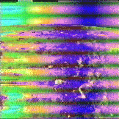 thecurrentseala:  Moonyank VHS frequency. The Current Sea, 2015. 
