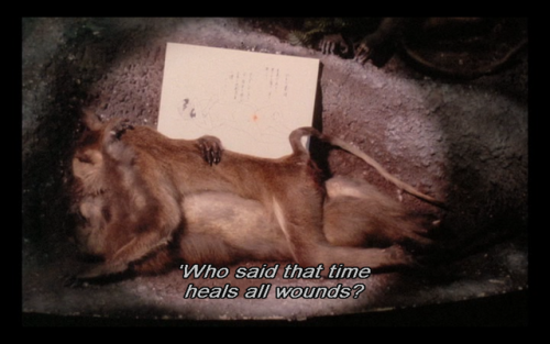 “Sans Soleil”, Chris Marker.