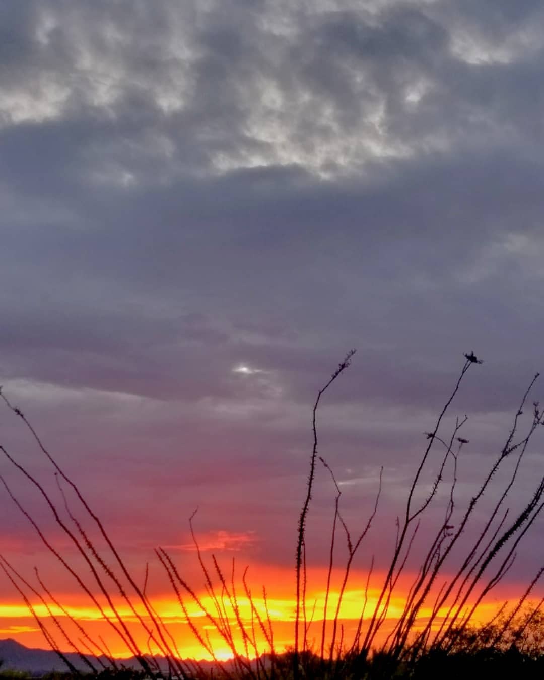 Storm moving out last night… #azsunset #tucsonsky #sunset #arizona
https://www.instagram.com/p/BxaTTLuB29Z/?utm_source=ig_tumblr_share&igshid=macpqtam5374