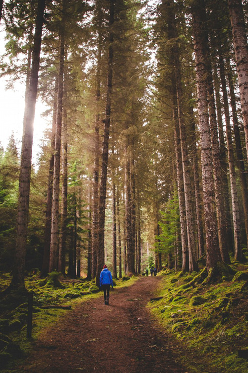 plasmatics-life:  Loch Ness Woods | (by Kristen Myklebust Ravnestad)