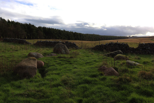 ‘Castlehowe Scar’ Stone Circle, near Shap, Cumbria, Lake District, 4.11.17.