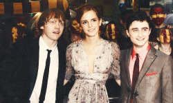 emmawatsonsource:  Harry Potter and the Half-Blood