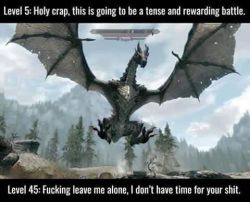 funnygamememes:  I Don’t have time for this, Dragon! 