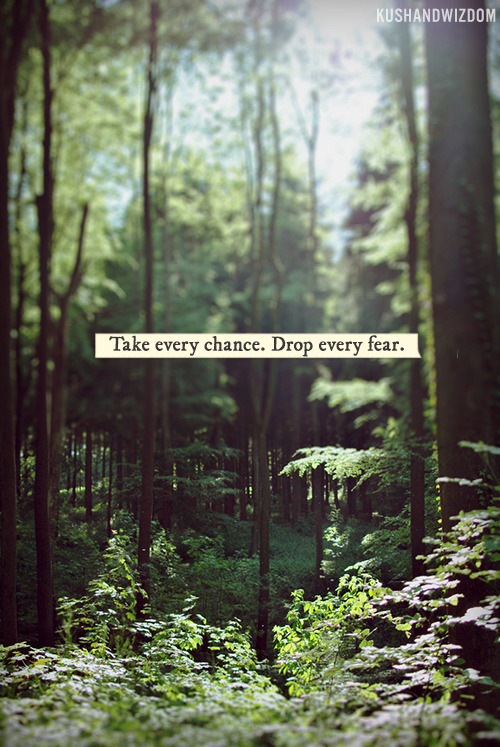 this adventure called life