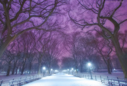 Central Park is magical in fresh snowInga’s