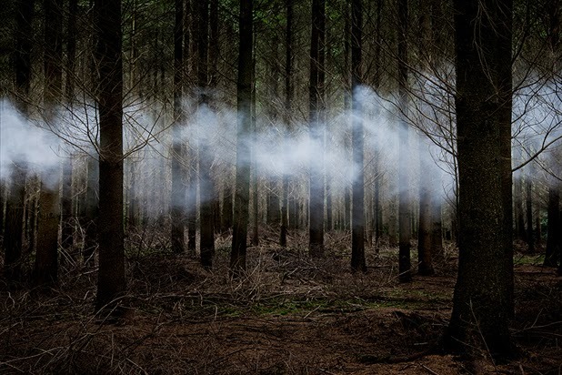 asylum-art:  Ellie Davies lives in London and works in the woods and forests  of