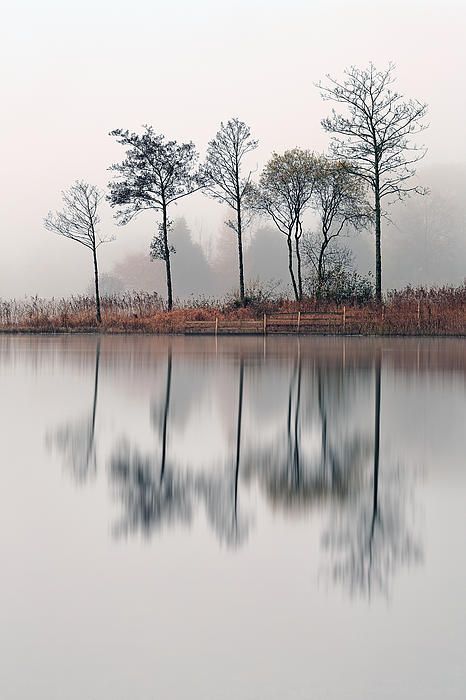 akandemir:Loch Ard ReflectionsA misty morning on Loch Ard with the trees reflecting on the water.by 