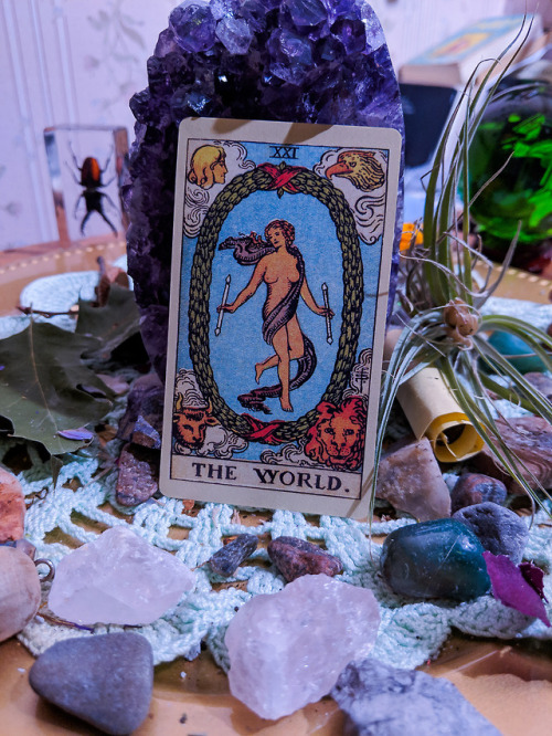 The World-FREE 1-CARD TAROT READINGS ALL DAY EVERY FRIDAY @thepurplegazelle