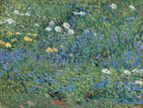 Carpet of blue flowers with daisies   -   Henri MartinFrench,  1860-1943 Oil on cardboard , 31 x 41 