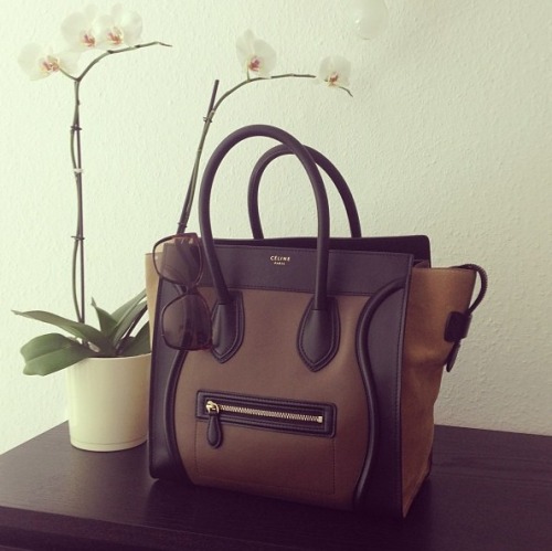 peachista:  rosyblush:  andreadiamond:  .  rosy ♡  ♡ more posts here ♡