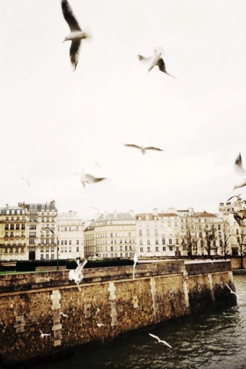 magic-of-eternity: Paris, France