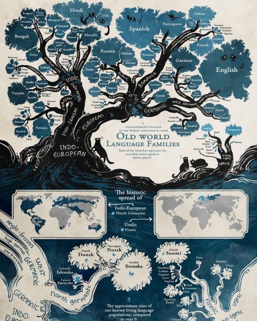 colchrishadfield:Language roots, branches