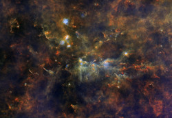 just–space:  The Little Fox and the Giant Stars - Vulpecula OB1  js 