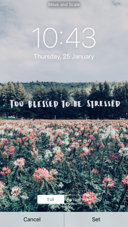 l0ckscreen: [requested] too blessed to be stressed