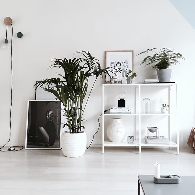 via**  zus_interieur  