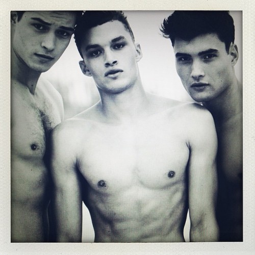 ofmiceandmenessay:  Ph. Daniel Riera