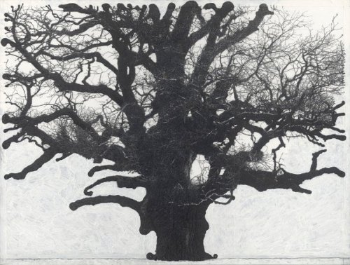 vjeranski:Patrick Van CaeckenberghDrawing of old trees on wintry days during 2007-20142007 - 2014