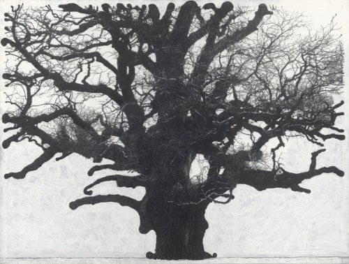 nemophilies: Patrick Van Caeckenbergh, Drawings of old trees on wintry days during 2007-2014