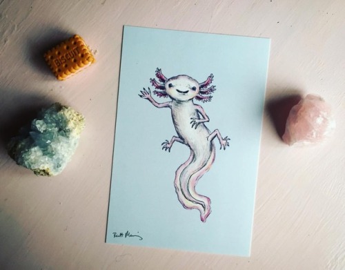 brettisagirl:Now in my etsy shop! Happy Axolotl prints www.etsy.com/shop/Brettisagirl #axolo