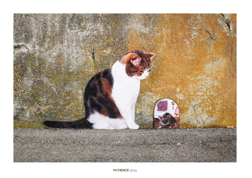 lustik: Street Animal by Raphael Gabriel via Galerie Pouloeuff.