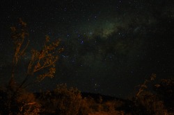 kusta-astronaut:  Reserva Nacional Las Chinchillas,