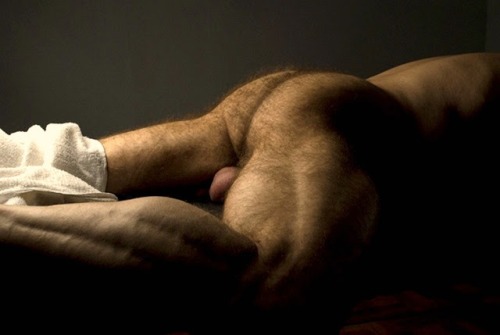 thebearunderground:  Best in Hairy Men since 201056k followers and 76k posts