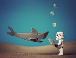 nickoras:  Stormtrooper x Shark x Lego