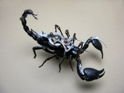 steampunktendencies:    Steampunk Insects by Mike Libby  