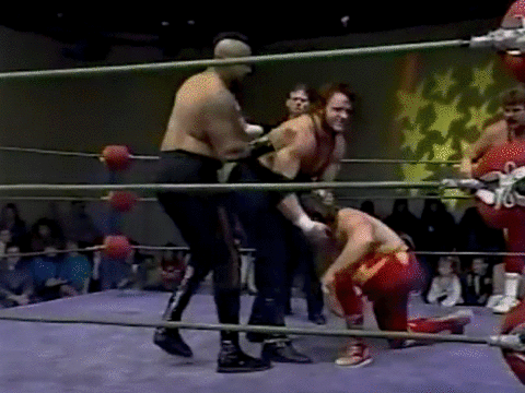 c8af04f9325041686148189dd4df202670743fd1.gifv