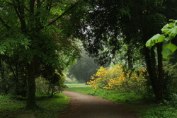 90377: A cloudy day at the local park by