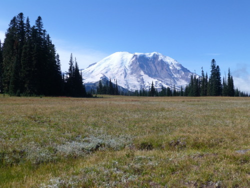 Grand, Mt. Rainier, WA, 2017