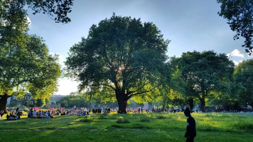 London fields