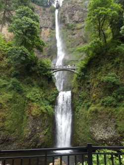 creationandcosmos:  Portland, OregonMutlnomah Falls