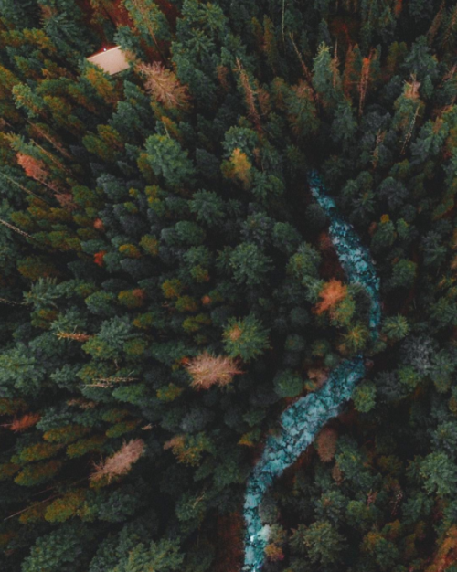 nubbsgalore:rivers and roads. rivers and roads. rivers till i reach you. (x, x, x, x, x, x, x, x, x, x)