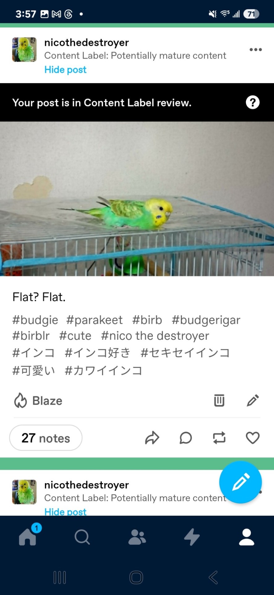 Tumblr media