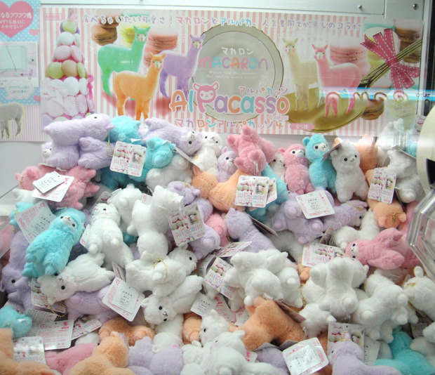 melon-sodaa:Macaron Alpacasso from Universal-Doll